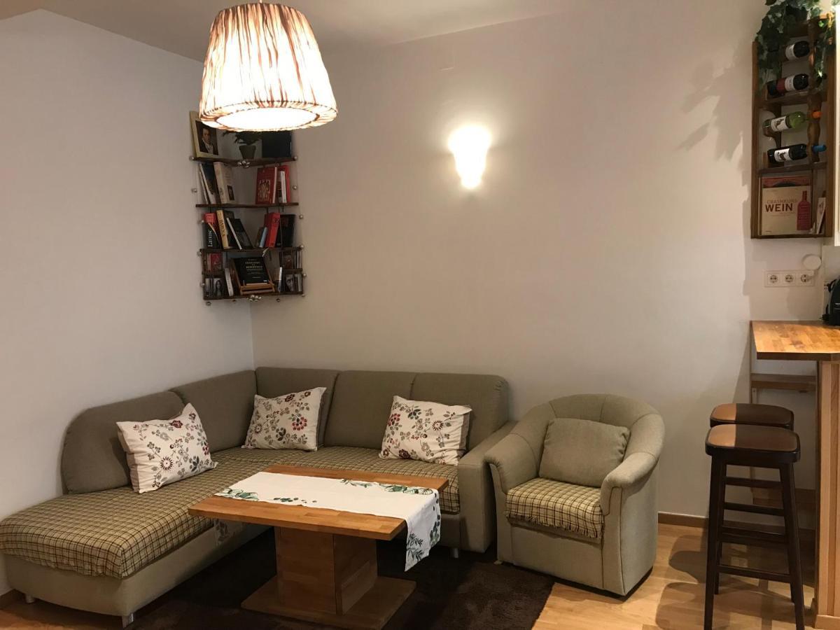Nice Apartment Near Schoenbrunn And Downtown ウィーン エクステリア 写真